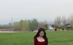 广告任务网媒介